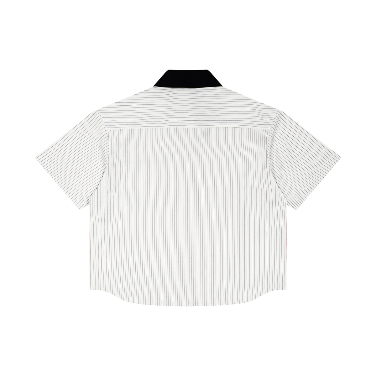 Vedoy,Collective,Core,Casual,basic,colorful,collar,collared,unisex,women,men,sport,gym,idrett
