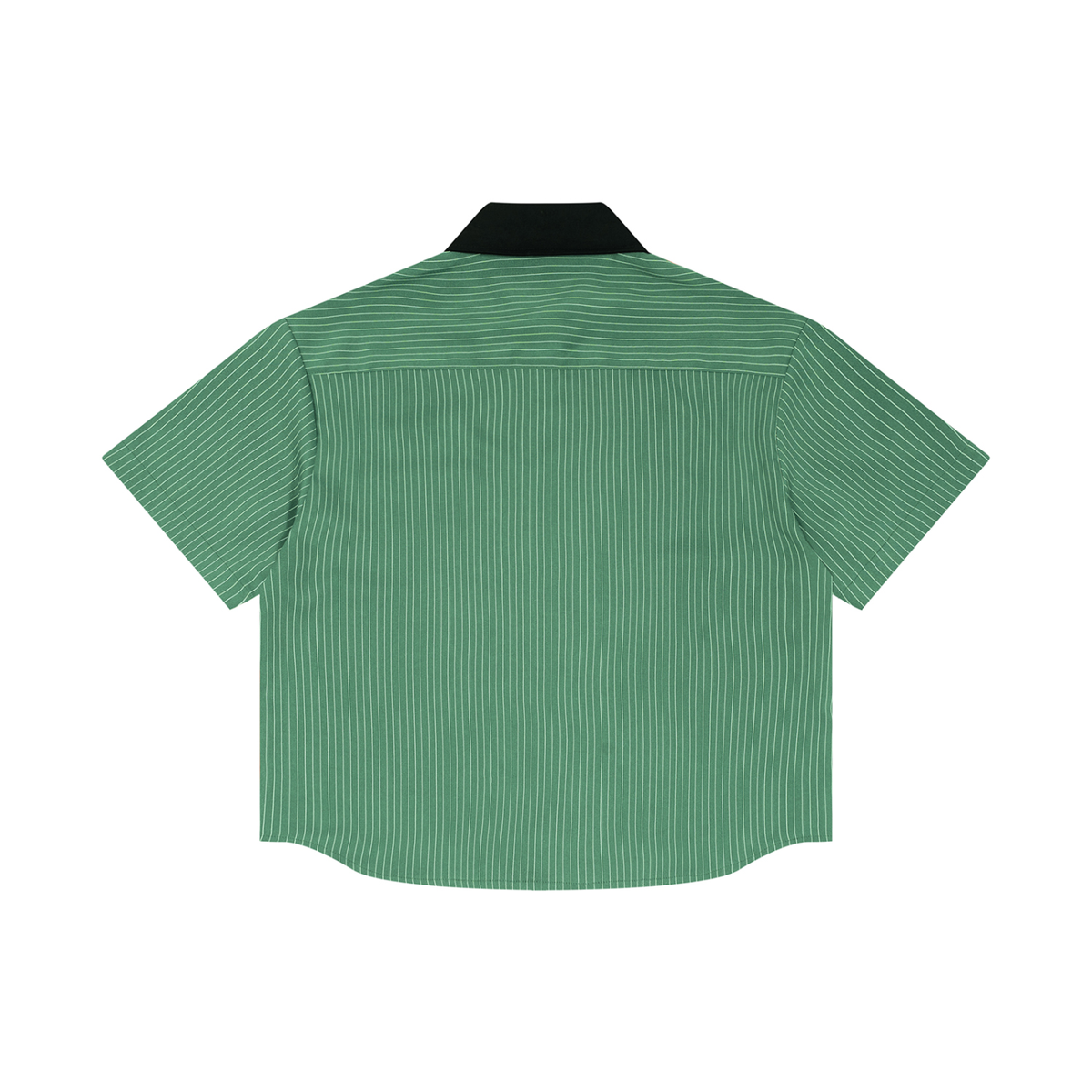 Vedoy,Collective,Core,Casual,basic,colorful,collar,collared,unisex,women,men,sport,gym,idrett
